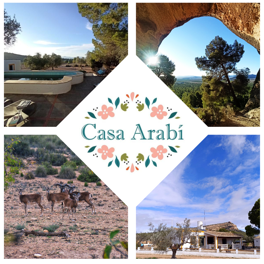 Casa Arabi (7)